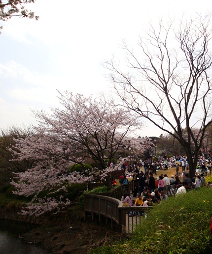 20110410 004.jpg 20110410 004.jpg