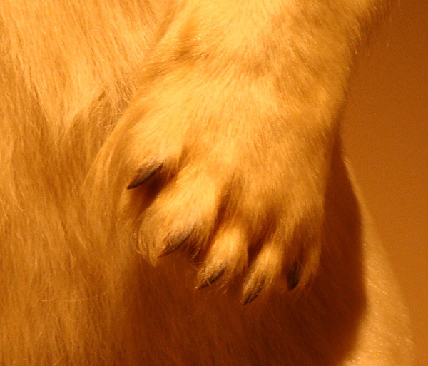 20100606 12.JPG 20100606 12.JPG