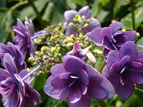 20100612 103.JPG 20100612 103.JPG