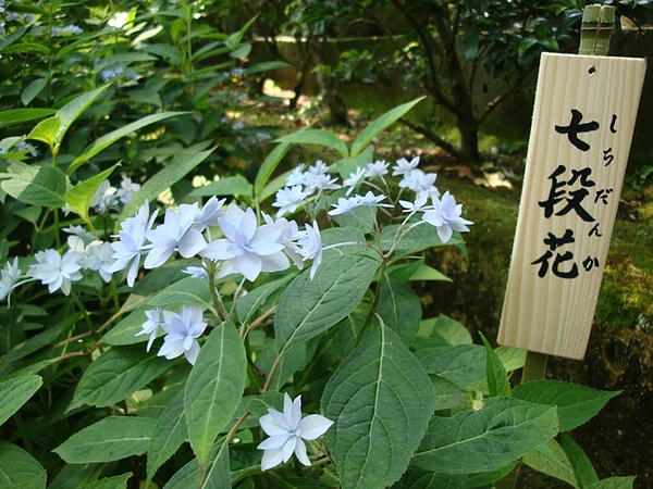 20100612 105.JPG 20100612 105.JPG