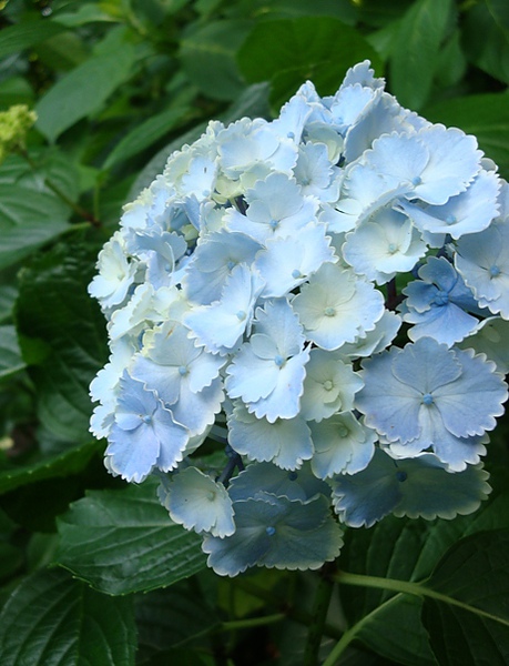 20100612 101.JPG 20100612 101.JPG