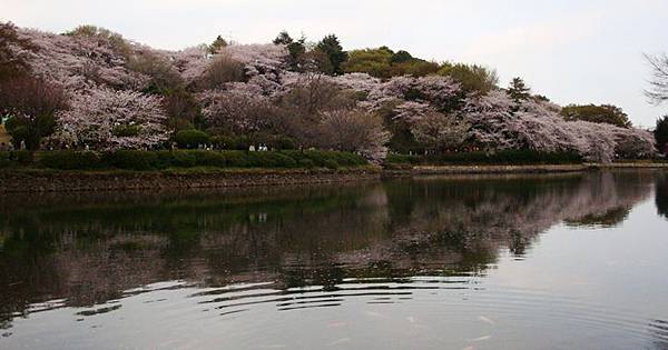 20110410 000.jpg 20110410 000.jpg