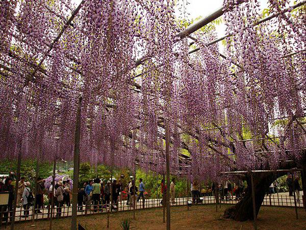 20110504 000.jpg 20110504 000.jpg