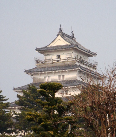 20110205 004.jpg 20110205 004.jpg
