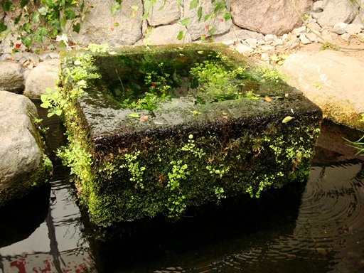 20110205 013.jpg 20110205 013.jpg