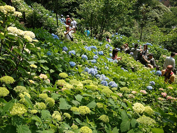 20100612 10.JPG 20100612 10.JPG