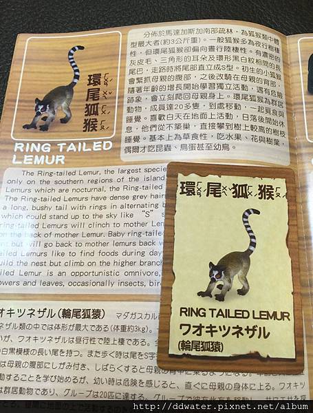 05 (776x1024).jpg 05 (776x1024).jpg