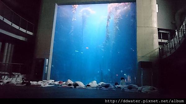 00cover (1024x576).jpg 00cover (1024x576).jpg