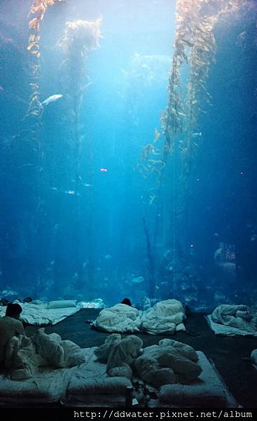 34 (625x1024).jpg 34 (625x1024).jpg