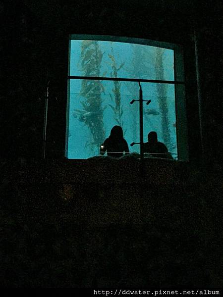 35 (768x1024).jpg 35 (768x1024).jpg