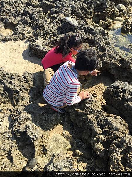 41 (768x1024).jpg 41 (768x1024).jpg