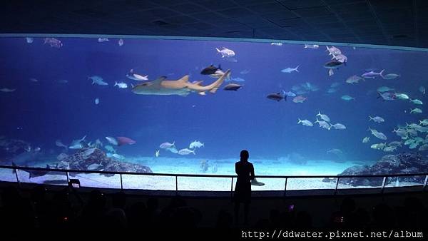 DSC01095 (1024x576).jpg DSC01095 (1024x576).jpg