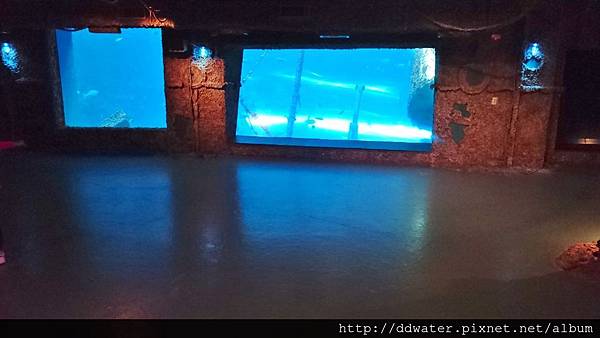 DSC_1770 (1024x576).jpg DSC_1770 (1024x576).jpg