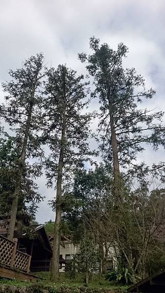 DSC_1296 (576x1024).jpg DSC_1296 (576x1024).jpg