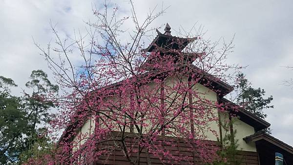 DSC_1294 (1024x576).jpg DSC_1294 (1024x576).jpg