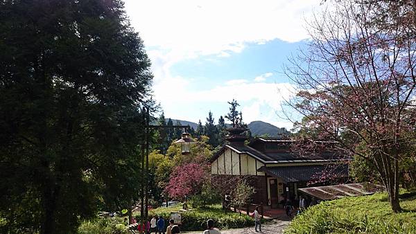 DSC_1305 (1024x576).jpg DSC_1305 (1024x576).jpg