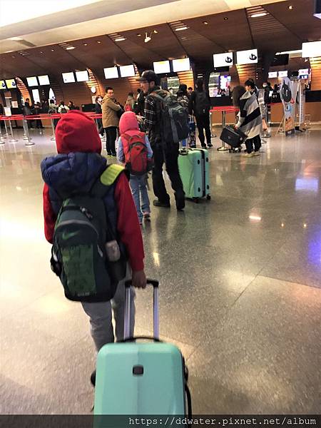 IMG_5489_s.jpg IMG_5489_s.jpg