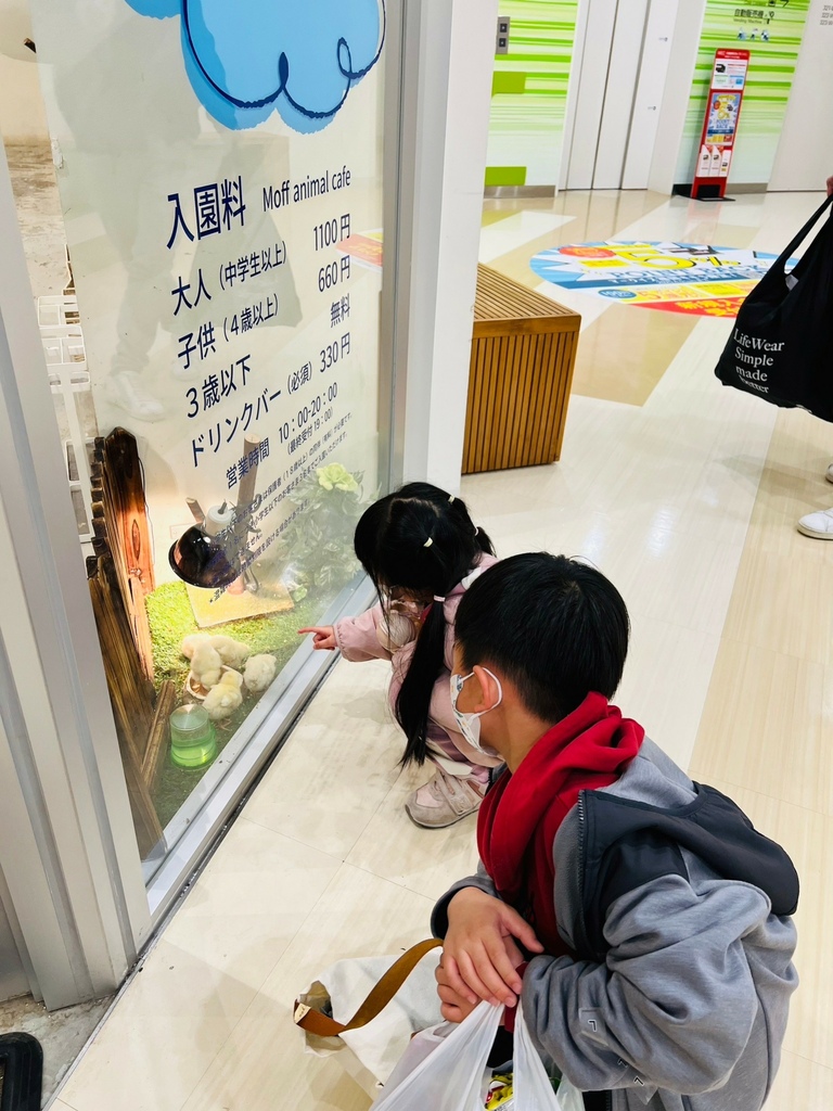 『親子旅遊景點』日本九州福岡moff animal coff