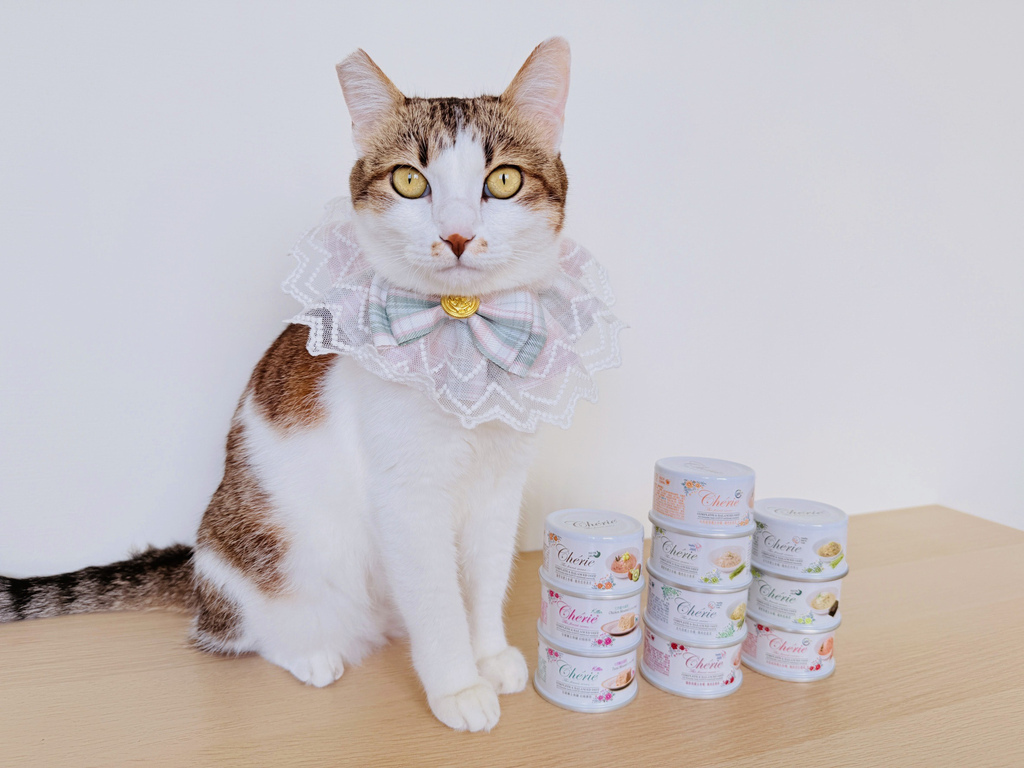 貓咪主食罐推薦 - Cherie 法麗 - 全營養主食罐