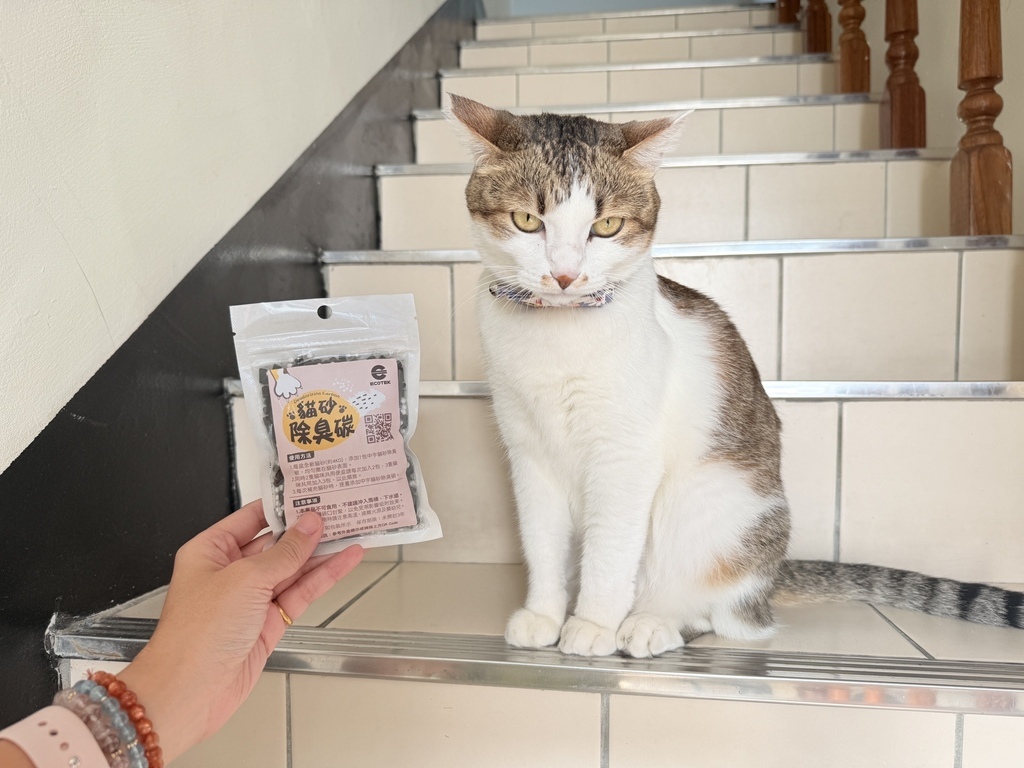 養貓人必買!!中宇貓砂除臭碳，家裡不再臭薰薰