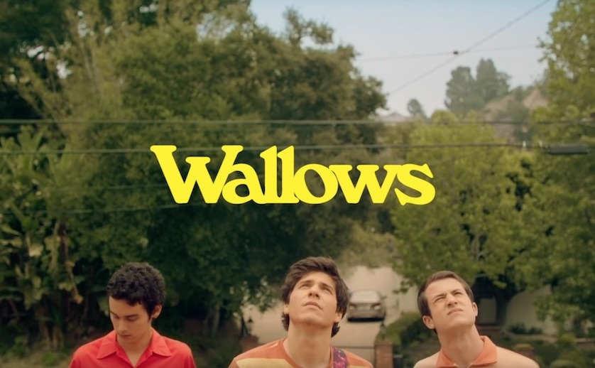 Wallows