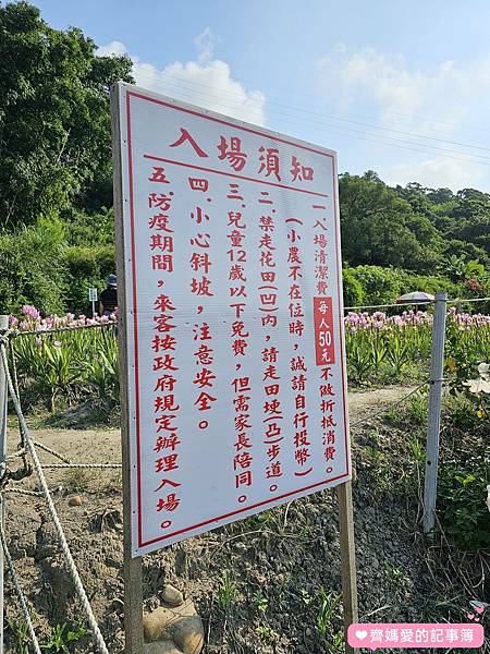 台中外埔．薑荷花農場