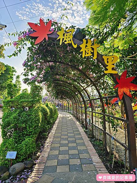 新北泰山．楓樹河濱公園 / 蒜香藤盛開