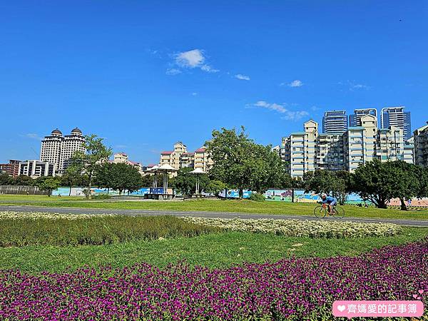 台北大直．美堤河濱公園 / 親水灣花海盛開