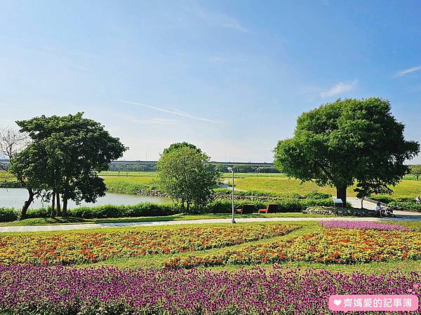 台北大直．美堤河濱公園 / 親水灣花海盛開