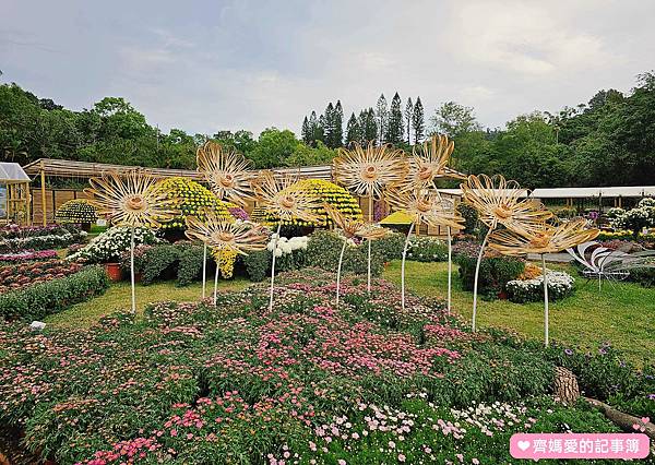 捷運士林．2023士林官邸菊展 / 菊藝生活