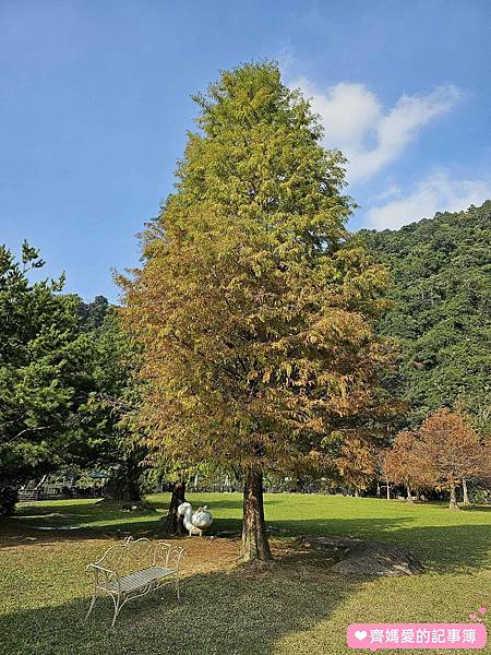 苗栗南庄．雲水溫泉度假村 Cloudland Resort