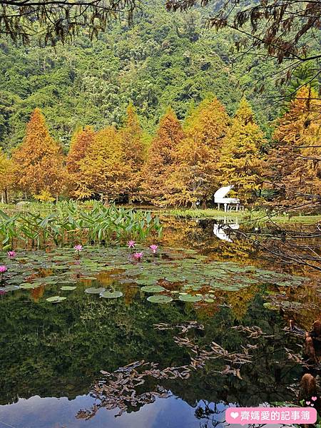 苗栗南庄．雲水溫泉度假村 Cloudland Resort