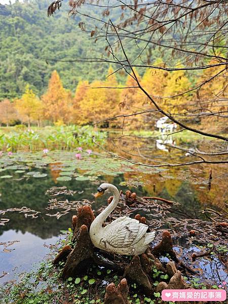 苗栗南庄．雲水溫泉度假村 Cloudland Resort