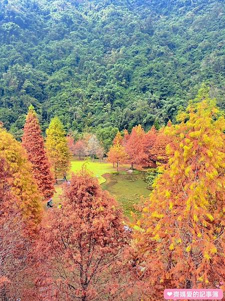 苗栗南庄．雲水溫泉度假村 Cloudland Resort