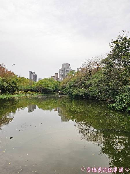 大安森林公園．台北杜鵑花季 / 繡球花 / 醉蝶花