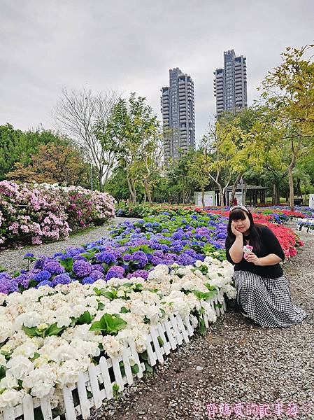 大安森林公園．台北杜鵑花季 / 繡球花 / 醉蝶花