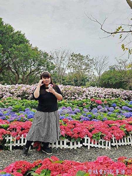 大安森林公園．台北杜鵑花季 / 繡球花 / 醉蝶花