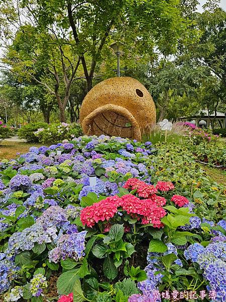 大安森林公園．台北杜鵑花季 / 繡球花 / 醉蝶花