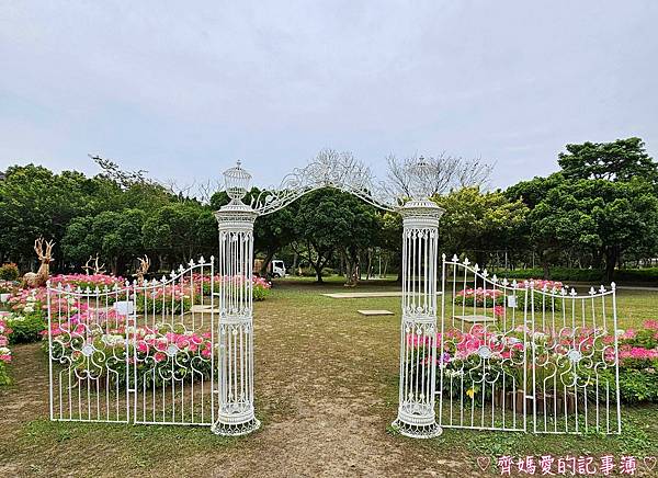 大安森林公園．台北杜鵑花季 / 繡球花 / 醉蝶花