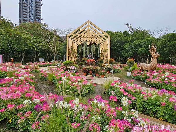 大安森林公園．台北杜鵑花季 / 繡球花 / 醉蝶花