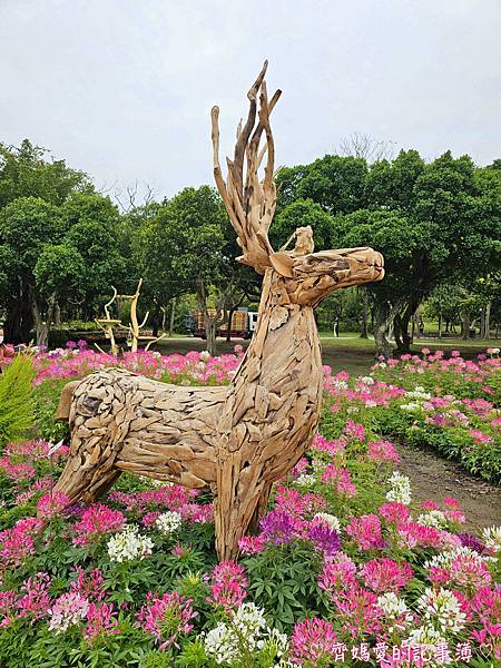 大安森林公園．台北杜鵑花季 / 繡球花 / 醉蝶花