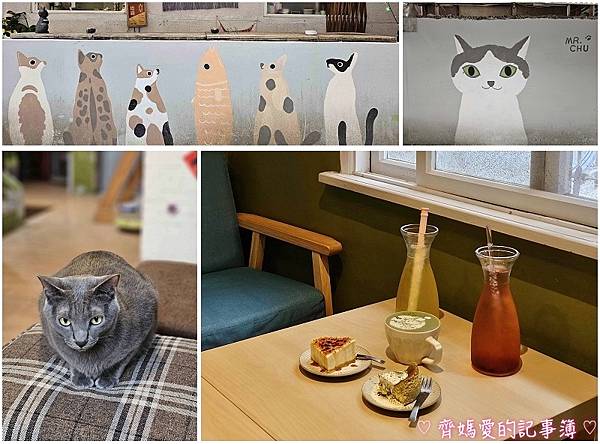 ♡ 捷運頂溪．Mr. Chu啾咖啡食堂 / 擼貓咖啡館