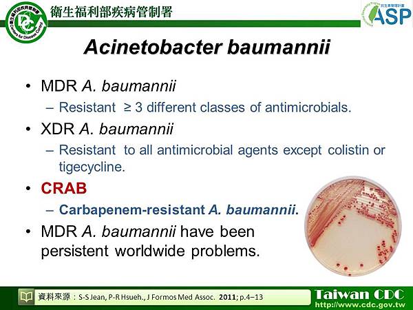 Acinetobacter+baumannii.jpg