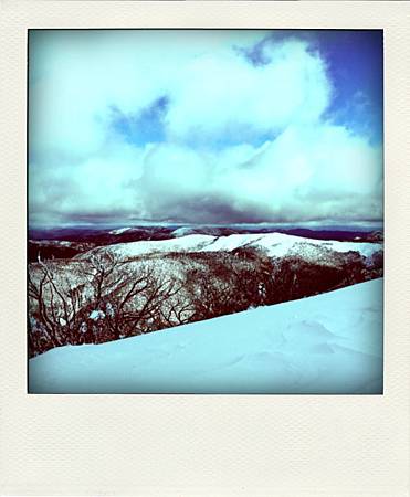 IMG_2085-pola IMG_2085-pola