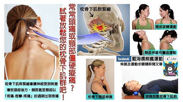 10252174_754511621249813_8380691355458849313_n