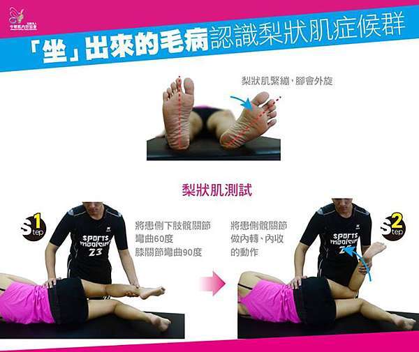 坐 出來的毛病 認識梨狀肌症候群 新達文西物理治療所 自費醫療徒手治療運動治療 痞客邦