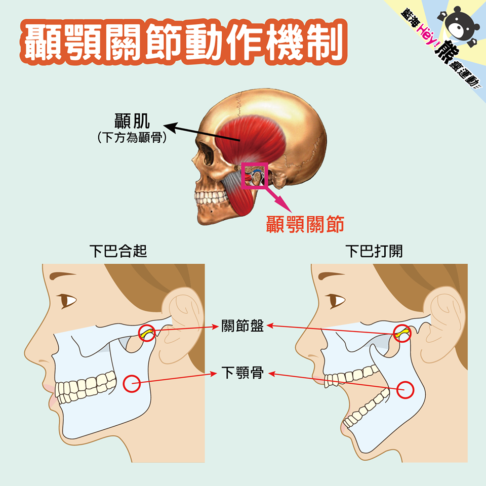 你的嘴巴張不開嗎 常常出現聲音嗎 新達文西物理治療所 自費醫療徒手治療運動治療 痞客邦