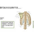 投影片11.JPG