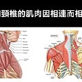 投影片3.JPG