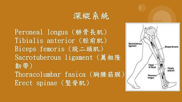 投影片6.JPG